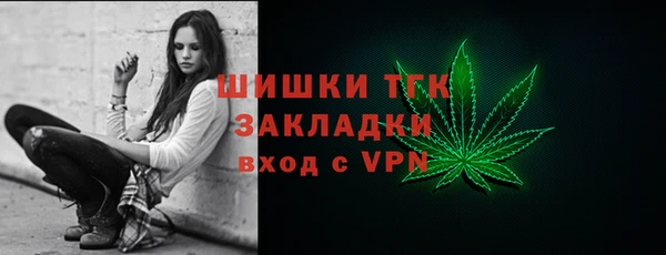 винт Абаза