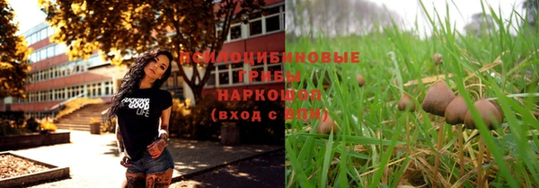 винт Абаза