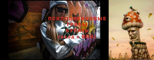 винт Абаза