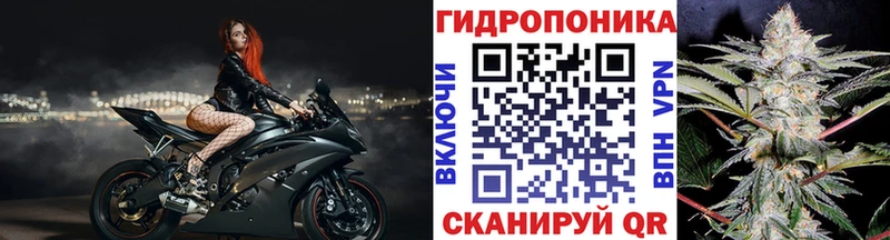 Шишки марихуана марихуана Шумерля